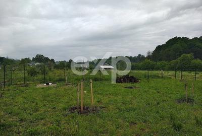 Teren intravilan de vânzare – Valea lui Enache, Baiculești, Argeș | 500 mp - 1