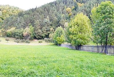 Teren superb de 16240mp, parcelabil, in Bran la intrare in Moeciu de Jos - 7