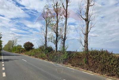 Teren 5000 mp deschidere Sos. Silistea Ciolpani - 1