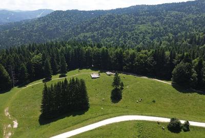 PREDEAL - Teren intravilan 6,000 m² -Poiana Secuilor - 4