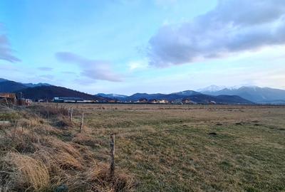 TEREN 1049 mp - INTRAVILAN DE CONSTRUCTII - 10