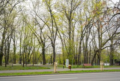 Apartament 3 camere de vanzare - locatie premium Herastrau - 1