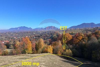 Teren 3,500mp Bran / Strada Bradul Inalt - 3