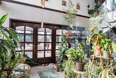 Vila de Vis cu Panorama Spectaculoasa ,INDEPENDENTA  ENERGETIC -Bucium - 23