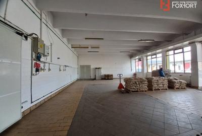 Hala industriala 1.411 mp, teren 2.068 mp - Acces TIR, Freidorf - 7
