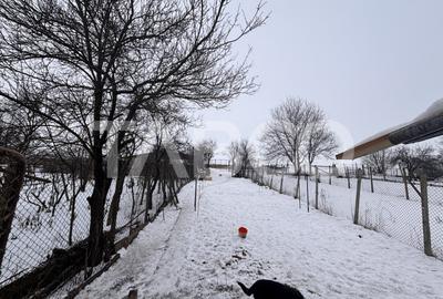 Casa de vanzare individuala  95mpu cu 540mp teren Sura Mare - 24