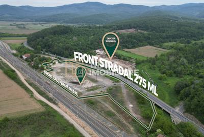 Platformă industrială cu acces strategic la DN7,oportunitate excelenta - 3