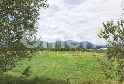 Teren intravilan in Baia Mare de vanzare, 48 arii , strada Sebesului - 3