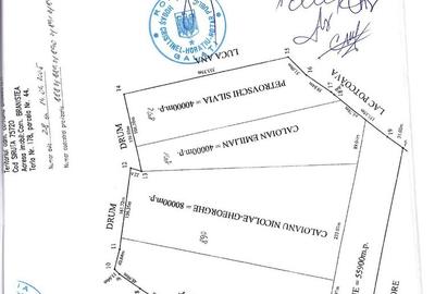 De vanzare 8 ha teren arabil extravilan Branistea, 11.000euro/ha negociabil - 3