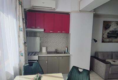 Apartament 2 camere Palas - Zimbrului - 4