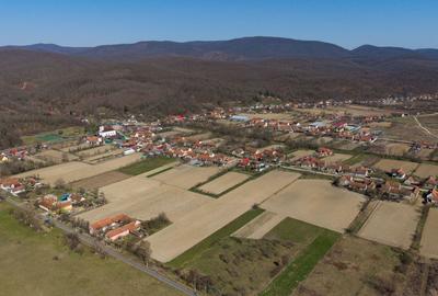 Loc de casă în Odvoș - Conop 3000mp - 23