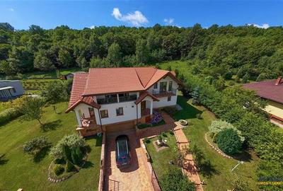 Casă cu 9 camere în Pestișu Mic
