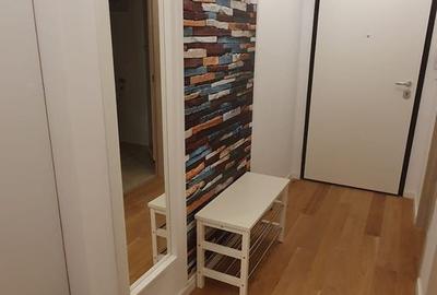 Studiou Aviatiei Apartments/Metrou Aurel Vlaicu - 6