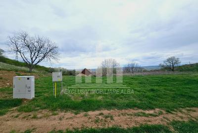 Teren Construcții intravilan de 630 mp, în Cetate