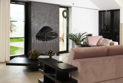 Vila Contemporana Cu Piscina Interioara, Curte, Iesire Lac, Tunari, Ilfov - 12