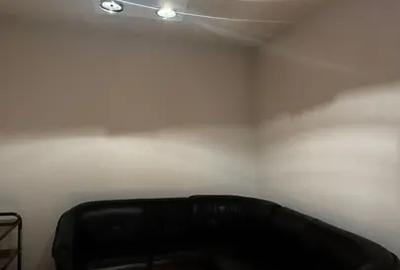 Casa Parcul Carol 570 MP Garaj Metrou Unirii Sau Tineretului 10 Min - 3