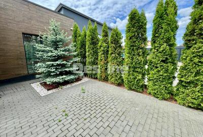 Casa/ afacere,   Miroslava - 1