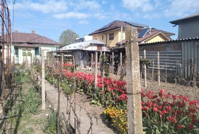 Casa  la curte Oltenita - 3