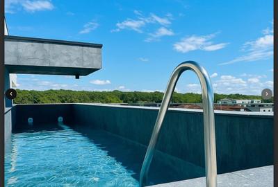 Penthouse Iancu Nicolae cu piscima - 7