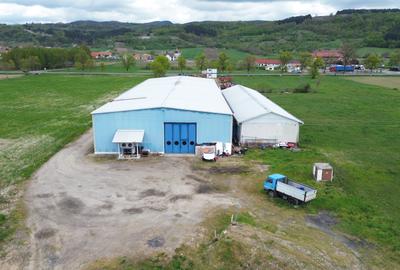 Hala Industriala de inchiriat langa Alesd la E60, 1800 mp, Bihor - 5