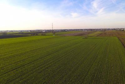 Teren Investitional 1,24 ha Com Berceni | deschidere 42ml | #CG28 - 6