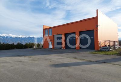 Hala industriala de vanzare cu teren de 12000 mp Bradu Sibiu - 13