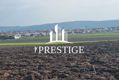 TEREN DE VÂNZARE ȘURA MICĂ 10.000 MP | 2 FRONTURI STRADALE, INVESTIȚIE - 12
