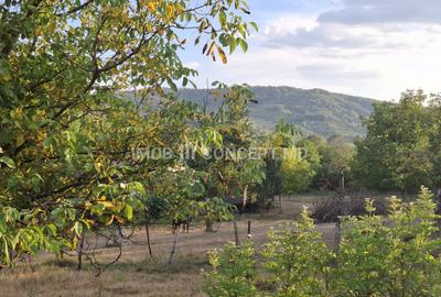 Teren spectaculos cu padure, livada si priveliste panoramica in Soimari PH - 10