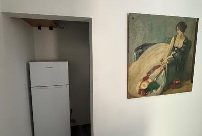 Apartament ultracentral pet friendly Timișoara - 3