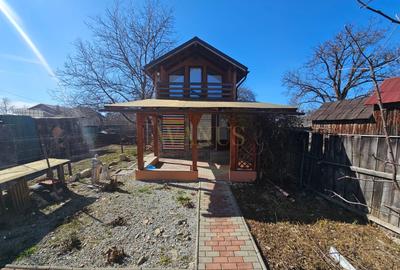 Casa de vacanta Russu Bargaului - 1