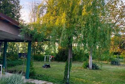 Casa 3 camere Parter Giurgiu Com Bucsani - 2