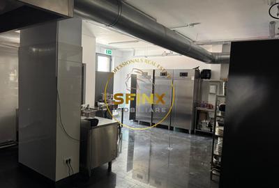 Sp comercial | Zona de Nord | 350mp | Cu terasa | 12 locuri | Disponibil Imediat - 4