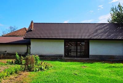 Casa de vanzare Pesteana Hateg - 4