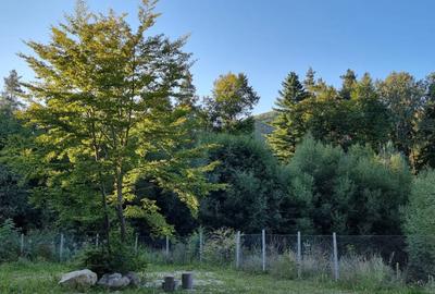 De vanzare CAMPING DARSTE - 2