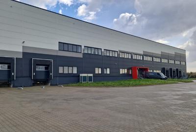 Depozit Centru Logistic de inchiriat Giarmata Timis 5000 M2 cu sau fara rafturi - 5