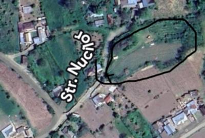 Vând teren intravilan comuna Parincea Jud Bacau - 1