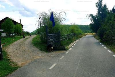 RATE Pensiune Piscina Superba***pe mal Lac Mocearu  70km de Buzau - 44