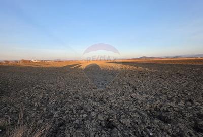 Teren intravilan, 30000 mp, zona Hanul din Ardeal - 13