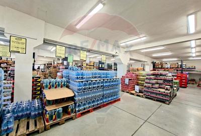 Hala industriala 1271 mp de închiriat- str Câmpul Liniștii -zona Uta - 21