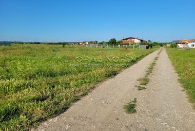 Exclusivitate-Techirghiol, teren intravilan, 305 mp, deschidere la strada de 17m - 9