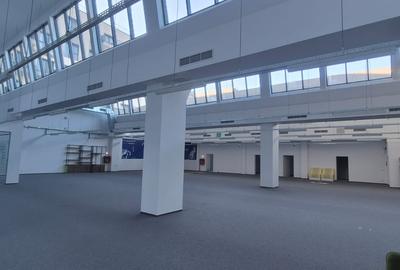 Spatiu de birouri / comercial / show room Domenii - Parcul Copilului - 12