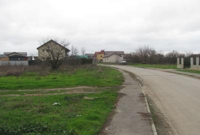 Cornetu - Crizantemelor, Stradal - 7
