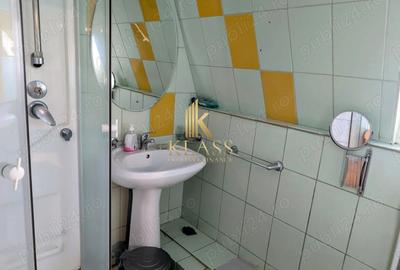 Casa Brancoveanu, parc Oraselul copiilor,  rezidential sau comercial - 7