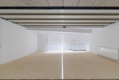 Vila Minimalista Moderna Snagov Lac - 26