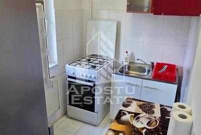 Apartament cu 1 camera de inchiriat, zona Aradului, Timisoara - 4