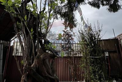 Oferta! La vanzare casa cu gradina si parcare la pret irezistibil S1 - 20