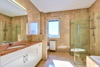 Penthouse cu terasa 200 mp Primaverii - 4