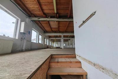 Hala de 300 mp - central - in zona Parneava - 7