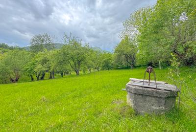 Teren 1500mp, intravilan cu utilitati, in proximitatea complexului Vila Bran - 4