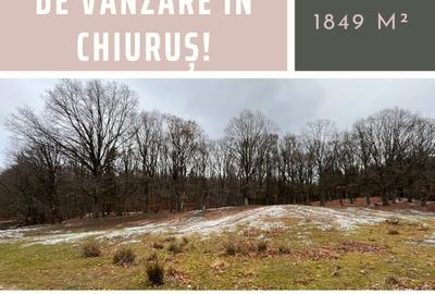 Teren intravilan de vânzare în Chiuruș!